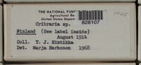 Image Associated With the Occurence